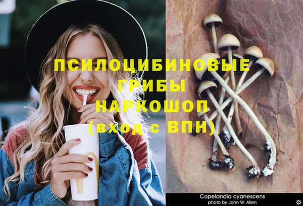 круглые Волоколамск