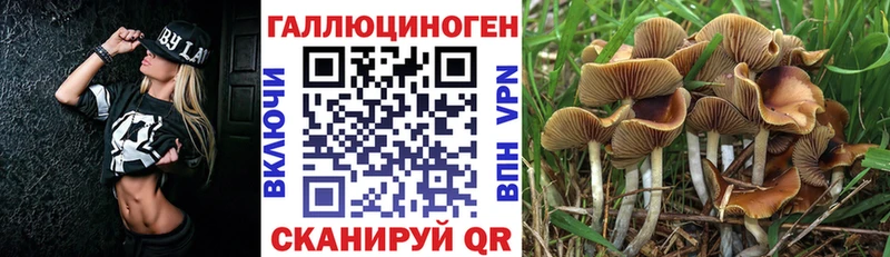 Галлюциногенные грибы Cubensis  где можно купить наркотик  Заозёрный 